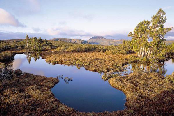 Rob Blakers Cradle (Book) - Find Your Feet Australia Hobart Launceston Tasmania