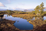 Rob Blakers Cradle (Book) - Find Your Feet Australia Hobart Launceston Tasmania