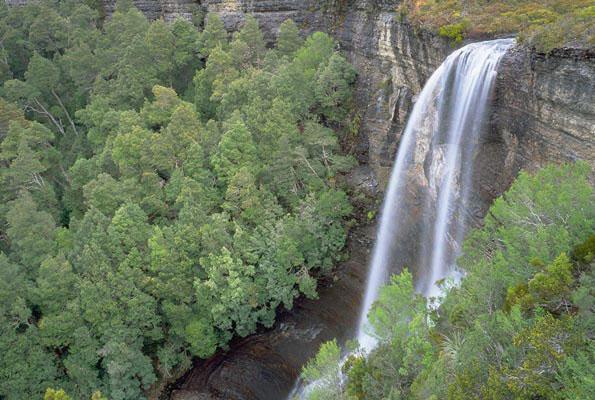 Rob Blakers Cradle (Book) - Find Your Feet Australia Hobart Launceston Tasmania