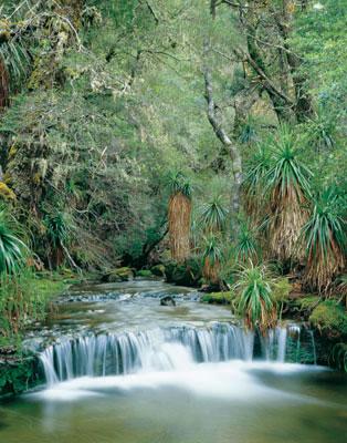 Rob Blakers Cradle (Book) - Find Your Feet Australia Hobart Launceston Tasmania