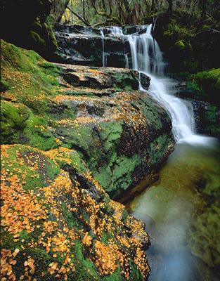 Rob Blakers Cradle (Book) - Find Your Feet Australia Hobart Launceston Tasmania