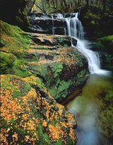 Rob Blakers Cradle (Book) - Find Your Feet Australia Hobart Launceston Tasmania