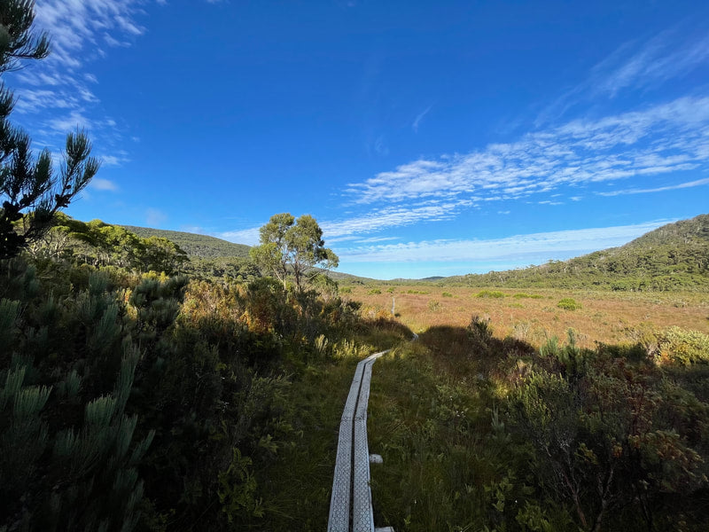 Wilder Trails The Lion's Cape