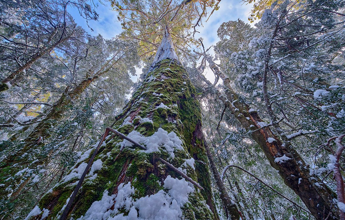 Wild Island 2022 Small Calendar - Rob Blakers - Find Your Feet Australia Hobart Launceston Tasmania