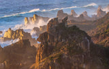 Wild Island 2022 Small Calendar - Rob Blakers - Find Your Feet Australia Hobart Launceston Tasmania