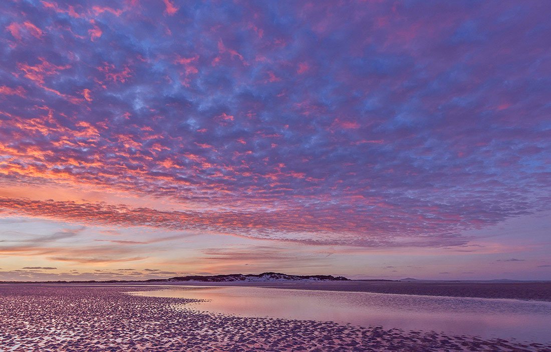 Wild Island 2022 Small Calendar - Rob Blakers - Find Your Feet Australia Hobart Launceston Tasmania